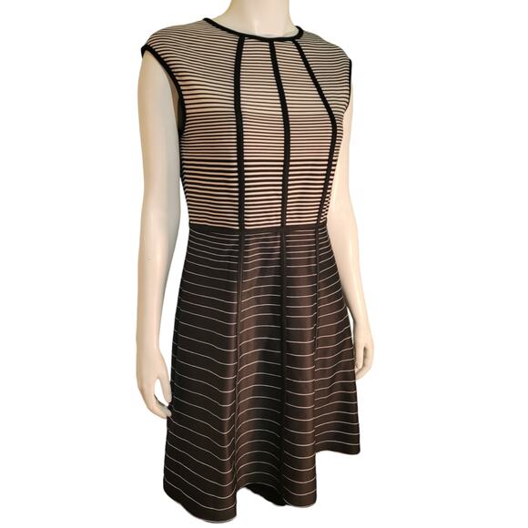 Sandra Darren Graphic Stripe Fit & Flare Dress 10 Sleeveless Balletcore Swiftie - Picture 8 of 9